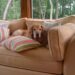 Tips For Buying Pet Friendly Couches