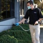 What to Expect With Insect Control Firms